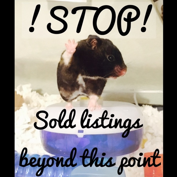 !SOLD BEYOND THIS POINT! - Picture 1 of 1